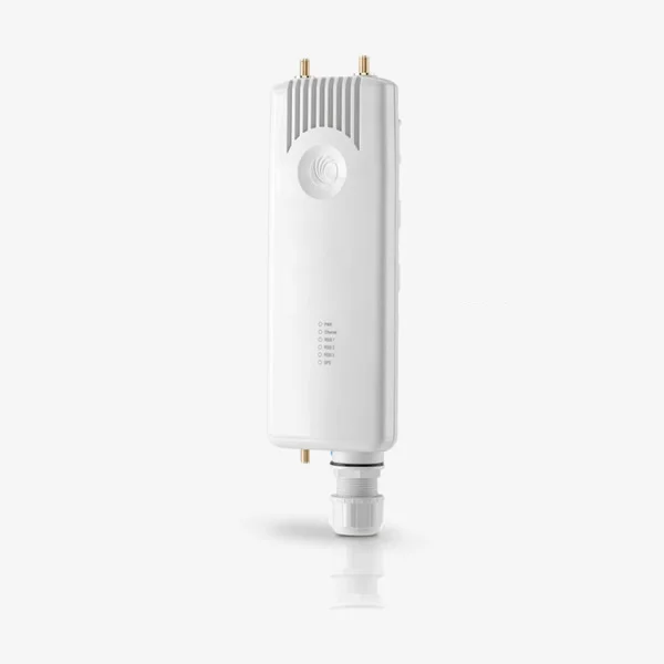 cambium